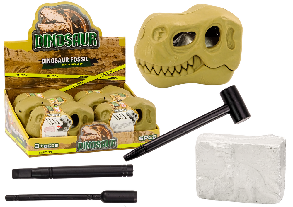 mamido Archeologická vykopávková sada Dinosaury Fosílie Lebka