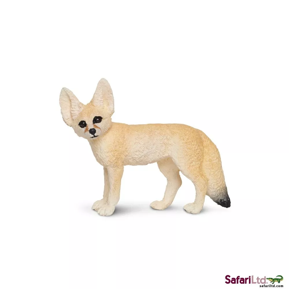 Safari Ltd. Safari Ltd. Fenek berberský