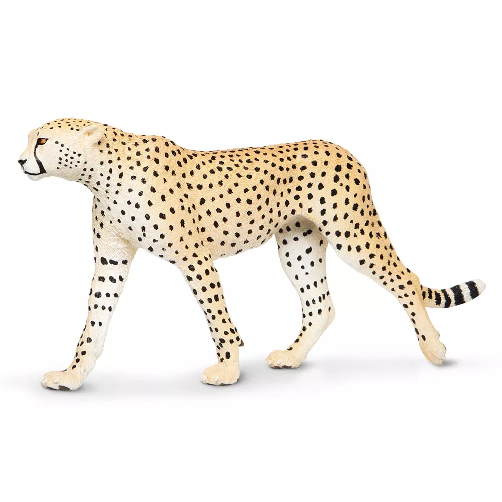 Safari Ltd. Safari Ltd. Gepard