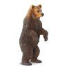 237417 4 medved grizzly