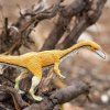 237717 1 coelophysis