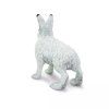237747 2 zajic polarni