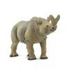 238026 1 megacerops