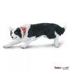 236706 border kolie