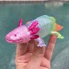 241152 1 duhovy axolotl