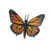 236235 motyl monarcha