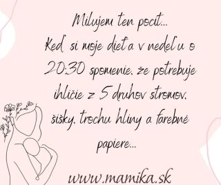 Prosím❣️Len mi povedzte, že sa to stalo už aj vám a ja budem spať pokojnejšie.... 😄 #mamika #materstvo #zivotmamy