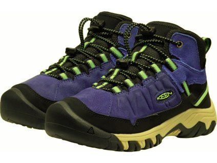 targhee fialova 2