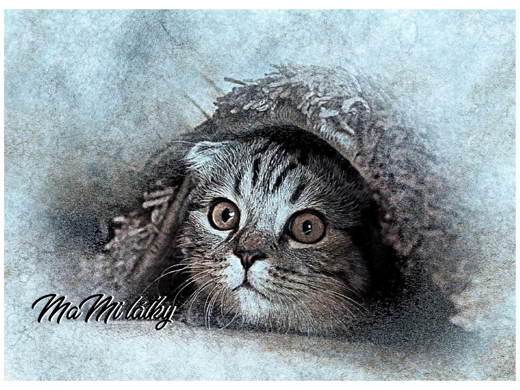 kotatko Kreslicí plátno 1