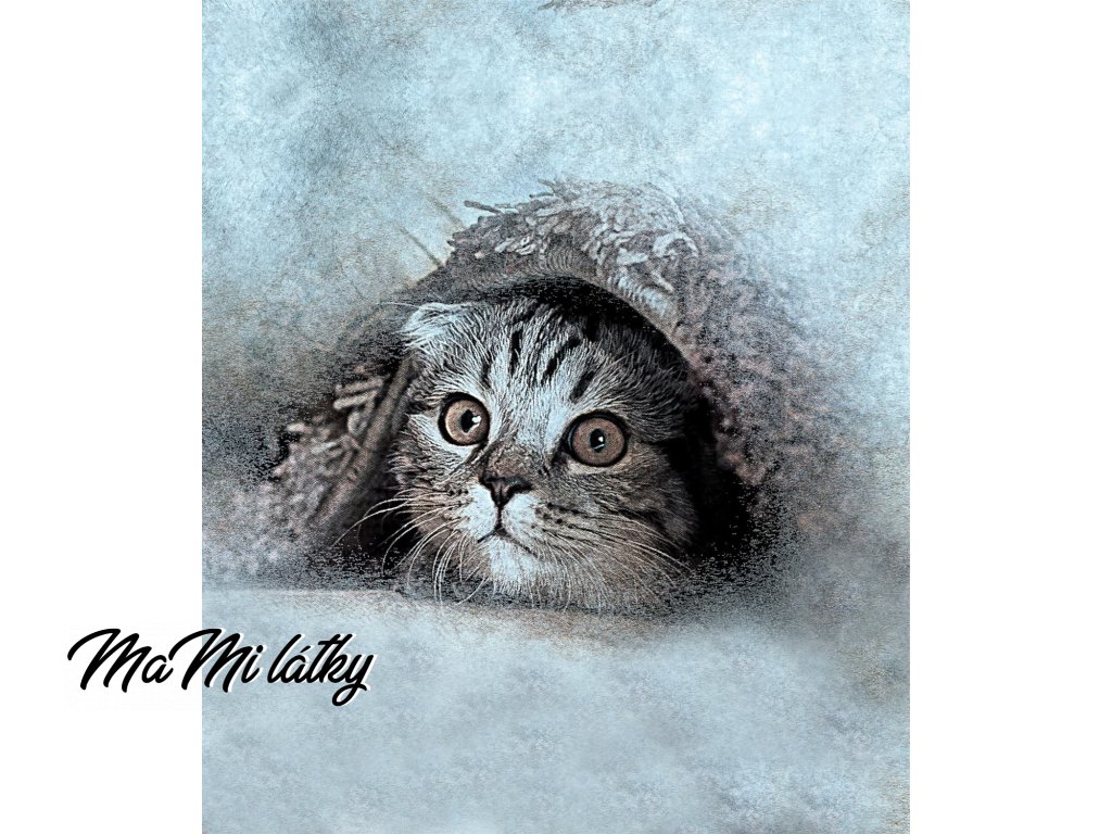 kotatko sede Kreslicí plátno 1