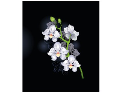orchidej bílá Kreslicí plátno 1
