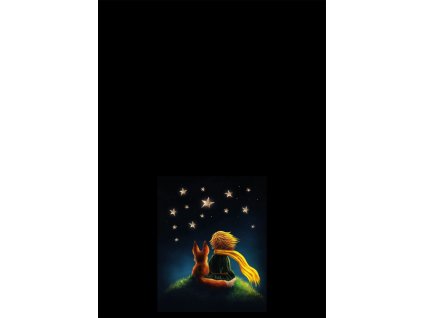 malý princ tmavý Kreslicí plátno 1 kopie