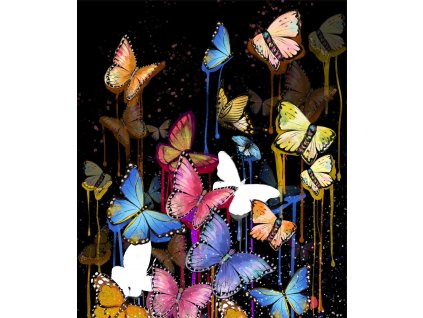 motýli na tmavé Kreslicí plátno 1