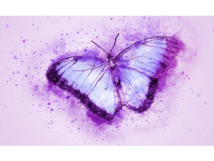 motýl Kreslicí plátno 1