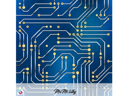 modrý microchip 30x30 nahled