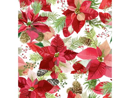 vánoční hvězda Kreslicí plátno 1