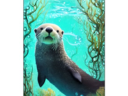 1vydra2 Kreslicí plátno 1