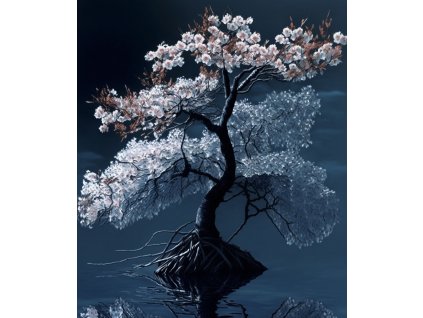 00000000cherry Kreslicí plátno 1