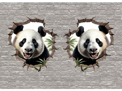 panda2