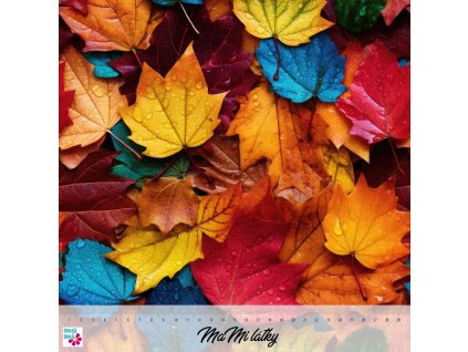 Colored Autumn Leaves 1 8 30x30 nahled