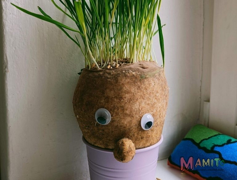 TIPY: Aktivity pro děti na jaro