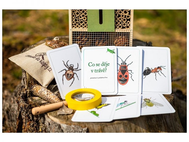 TIPY: Aktivity pro děti na jaro