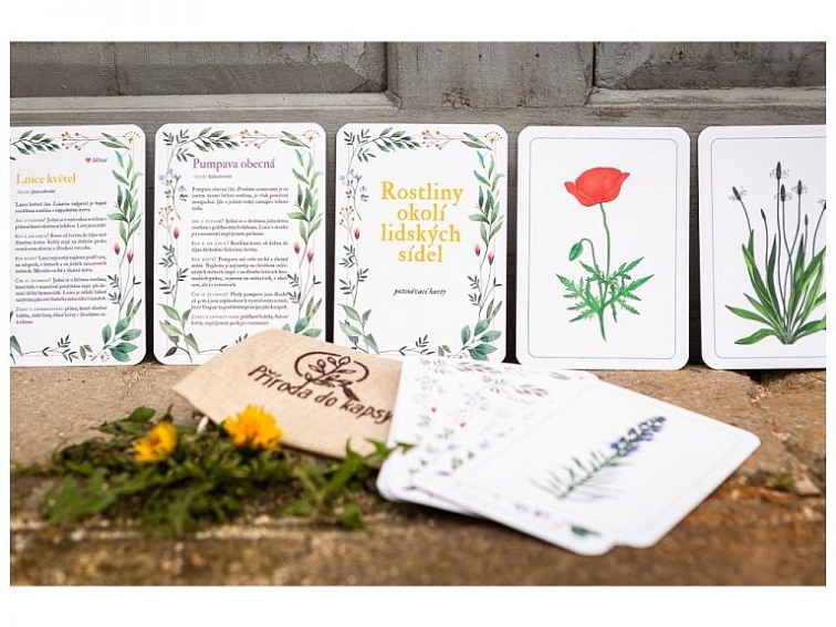 TIPY: Aktivity pro děti na jaro