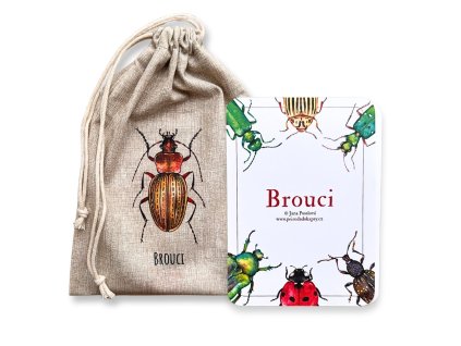 216 5 karty brouci