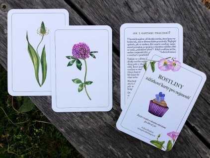 rostliny-zazitkove-karty-pro-nejmensi-1