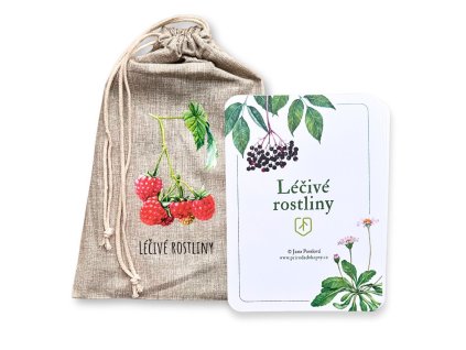 126 4 karty lecive rostliny