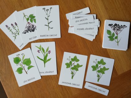 trislozkove-karty-lecive-rostliny-1