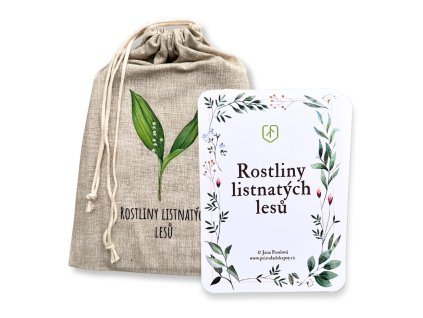 734 3 karty rostliny listnatych lesu 1