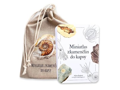 949 3 karty miniatlas zkamenelin do kapsy