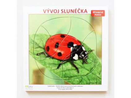 vyvoj-slunecka-vicevrstve-puzzle-1