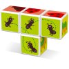 121GEO magicube insects 4 diely 1