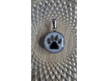 Náhrdelník z chirurgické oceli s mateřským mlékem nebo vlásky, srstí