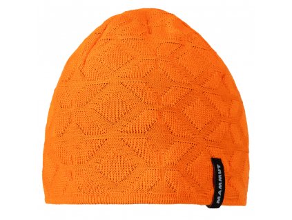 Nordwand Beanie