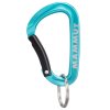 Mammut Mini Carabiner Classic Keylock S