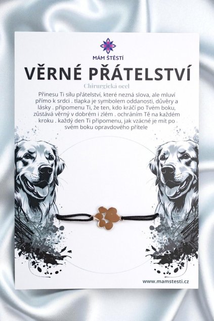 VĚRNÉ-PŘÁTELSTVÍ-Mám-štěstí-cz-8594198293952-černá-Chirurgická-ocel-štěstí-jak-mít-štěstí-znamení-horoskopu-Beran-Blíženci-Rak-Lev-Panna-Štír-Střelec-Kozoroh-Vodnář-Ryby-horoskop-náramky-z-minerálů-polodrahokamy-dárek-nevěsta-svatba-minerální-náramky-podla-znamení-léčivé-kameny-láska-ručně-vyráběné-český-výrobek-energie-zdravý-životní-styl-dárek-pro-učitelku-kamarádku-babičku-maminku-k-narozeninám-výročí-vánoční-dárek-boho-styl-stříbrná-amulet-pro-štěstí-talisman-peníze-zdraví-krása-fashion-módní-náramky-korálky-zvěrokruhy-partnerský-horoskop-horoskopy-andělíček-štěstí
