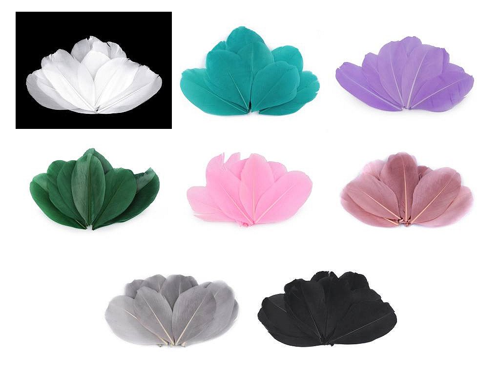 Husí peří délka 5,5-7 cm (Balení 1 sáček, Varianta 1 bílá)