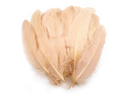 Husí peří délka 12-21 cm (Balení 20 ks, Varianta 1 bílá)