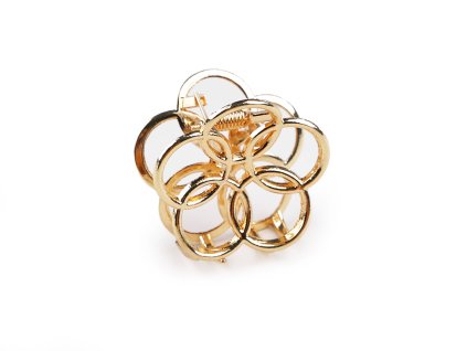 Skřipec do vlasů kovový (Balení 1 ks, Varianta 1 zlatá)