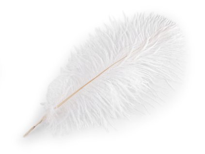 Pštrosí peří délka 40-45 cm nebělené (Balení 1 ks, Varianta bílá přírodní)