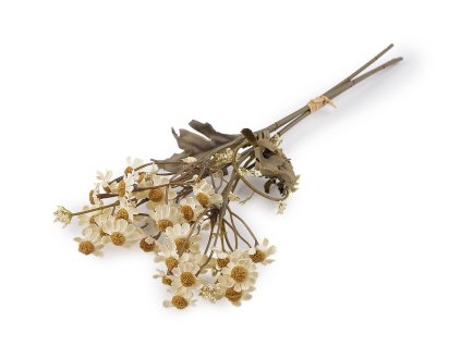 Umělý heřmánek - reálný vzhled (Balení 1 svaz., Varianta krémová světlá)