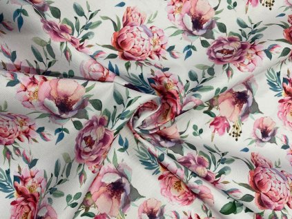 kocarkovina ruzove pivonky na bile lic