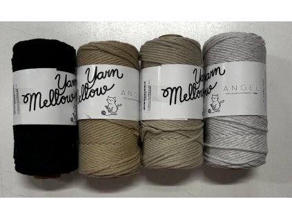 WhatsApp Image 2026 02 19 at 12.09.31