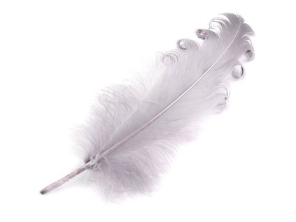 Husí peří kudrnaté délka 12-18 cm (Balení 4 ks, Varianta 17 korálová světlá)