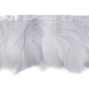 Prýmek - husí peří 6-11 cm (Balení 1 m, Varianta 1 bílá)