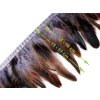Prýmek - kohoutí peří 14-16 cm (Balení 1 m, Varianta 1 zelená sv.)