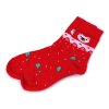 Vánoční ponožky Emi Ross (Balení 1 pár, Varianta 21 (vel. 35-39) červená)